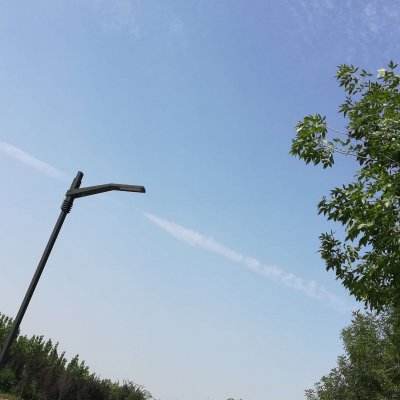 挂个皮卡丘最新版下载